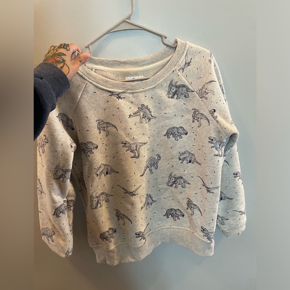 Gray Dinosaur Sweater Size Small